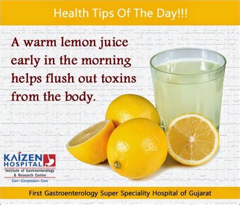 Tip of the day بالعربي. Health Tips: Health Tips Of The Day - A warm lemon juice ...