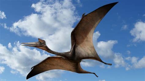 10 Terrifying Prehistoric Creatures That Are Thankfully Extinct