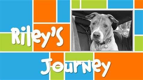 Video Rileys Journey — Outta The Cage