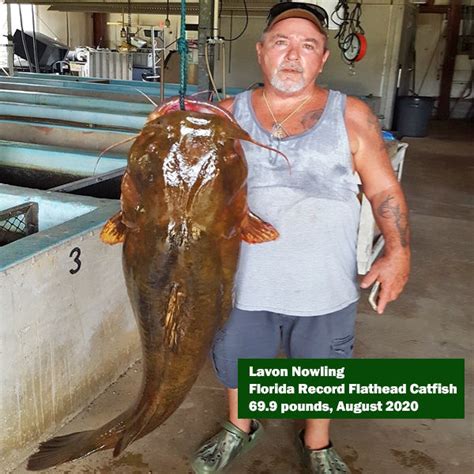 Florida Has A New State Record For Flathead Catfish