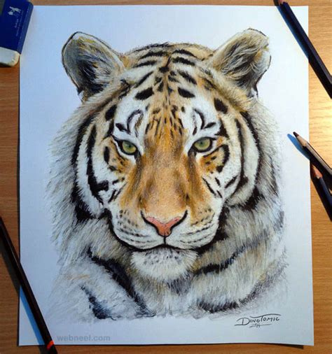 Here are 40 easy animal sketch drawing ideas for inspiration, with some ideas to try and help you and some talk of the lessons i have learnt myself. 26 Stunning drawings of animals Made From Pencil And Paper
