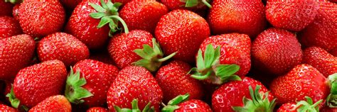 Strawberry Allergy Guide Lifelab Testing