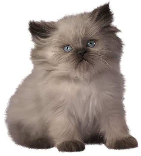 Free Cute Kitten Transparent Download Free Cute Kitten Transparent Png