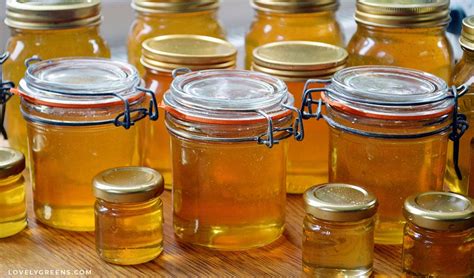 Why Vegans Should Eat Honey Lovely Greens