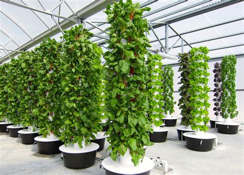 How To Build An Aeroponic Tower Garden Diy Hydroponic Towers