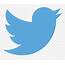 Download Twitter Logo  Transparent Background Clipart