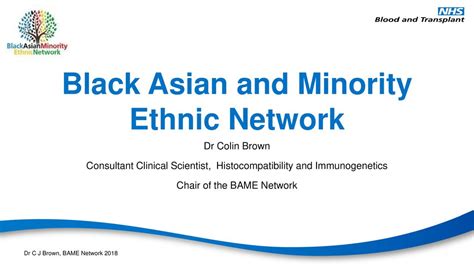 Black Asian And Minority Ethnic Network Ppt Download