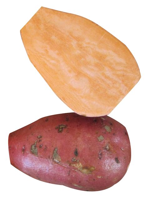 Yam Png Image Purepng Free Transparent Cc0 Png Image Library