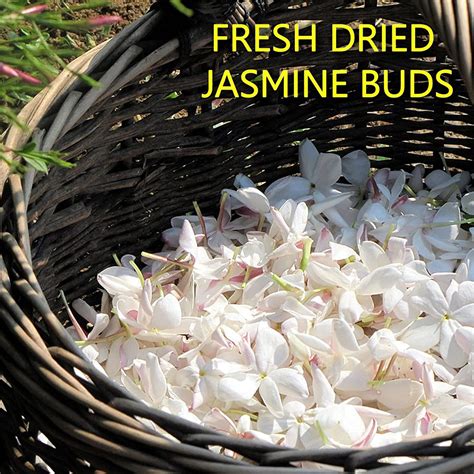 Buy Ny Spice Shop Jasmine Dried Flowers Pound Dried Jasmine Buds