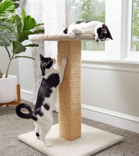 How To Build An Easy Diy Cat Scratching Post And Cat Tree