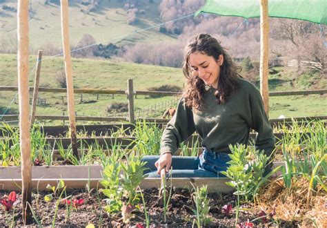 C Mo Empezar Un Huerto Ecol Gico En El Jard N De Casa Vidaverdi Blog De Ecolog A Residuo