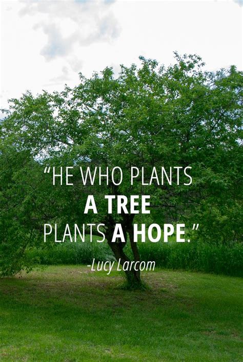 Tree Planting Quotes Quotes For Your Soul
