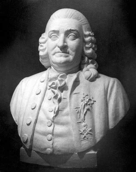 Carolus Linnaeus 1707 1778 Nswedish Physician And Botanist Sculpture