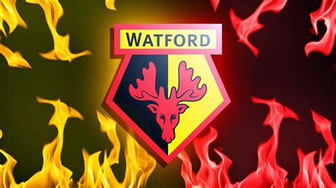 Welcome to the official watford fc facebook page. Watford F.C. Wallpapers - Wallpaper Cave