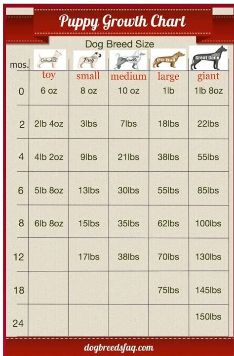 A Dog Breed Chart With Different Breeds And Sizes For Each Type Of Dog