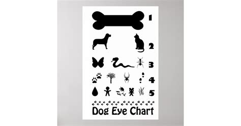 Dog Eye Chart Poster Zazzle
