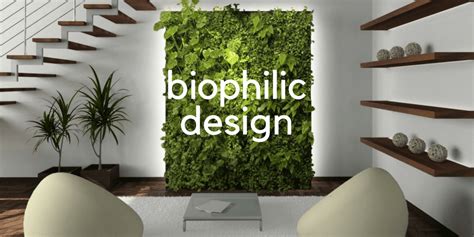 The Case For Biophilia Commercial Plantings And Biophilic Design