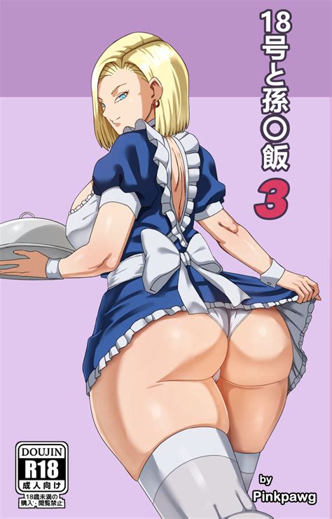 Pinkpawg Android 18 Dragon Ball Dragonball Z Absurdres Highres