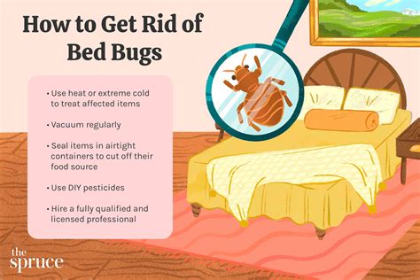 How To Get Rid Of Bed Bugs