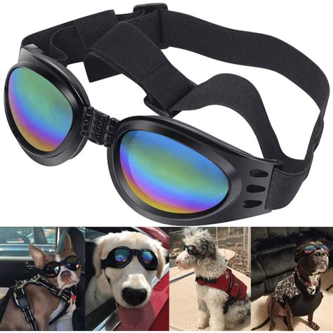 Best Dog Goggles Protect Those Puppy Dog Eyes