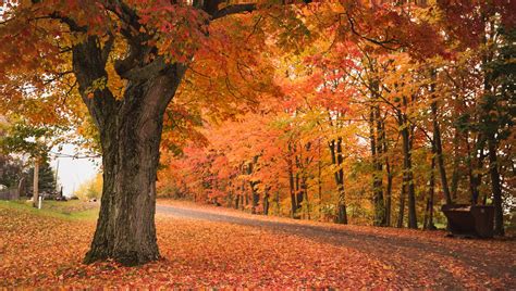 5 Tips For Finding Beautiful Fall Foliage In Massachusetts