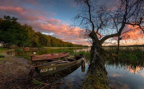 Nature Landscape Trees Boat Calm Forest Lake Dock Sunset Reeds