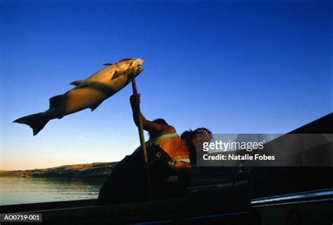 Aboriginal Fishing Photos And Premium High Res Pictures Getty Images