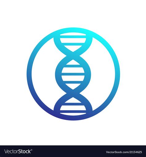 Dna Strand Icon In Circle Royalty Free Vector Image