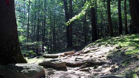 The park is in the doubling gap of blue mountain on pennsylvania route 233 between newville and landisburg. Take virtual tour of Colonel Denning State Park