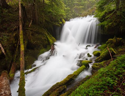 Big Spring Creek Falls Washington United States World Waterfall