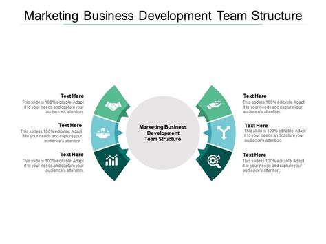 Marketing Business Development Team Structure Ppt Powerpoint File