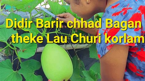 Gangar Dhare Chhaad Bagan Vegetable Garden Youtube