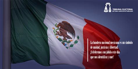 Top Imagen Frases Para La Bandera Mexicana Viaterra Mx