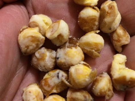 Half Popped Popcorn Recipe Dandk Organizer
