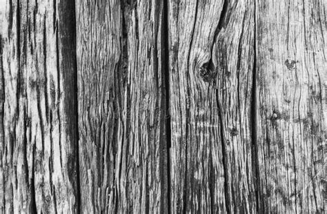 Wood Texture Background Black And White Stock Image Image Of White