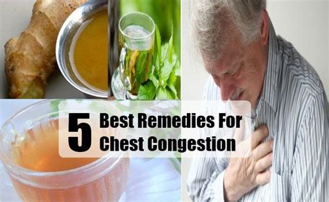 5 best remedies for chest congestion with images chest congestion remedies natural cold