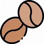 Coffee Kopi Beans Icon Untuk Historia Yang