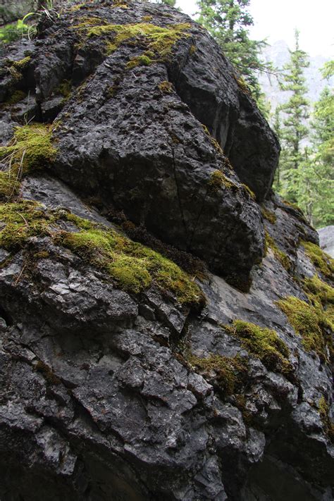 Moss Covered Rock Free Stock Photo Public Domain Pictures