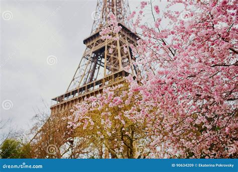 Early Spring In Paris France Stock Image Image Of Paris Closeup