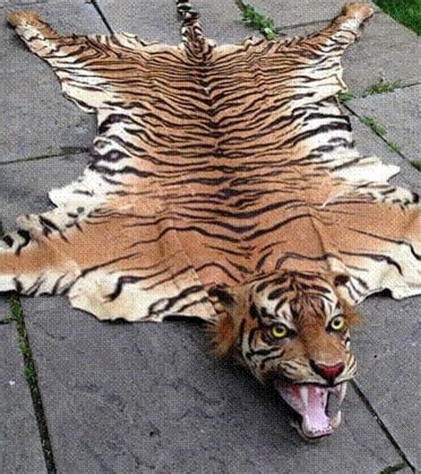 Trader Sold Extinct Tiger Skin Rugs On Ebay Bbc News