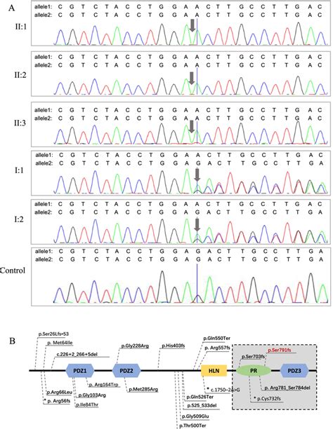Sanger Sequencing Of The Pathogenic Variant A Sanger Sequencing Download Scientific Diagram