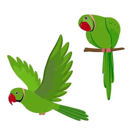 Premium Vector Beautiful Cute Green Parrots Vector Setting And Flying