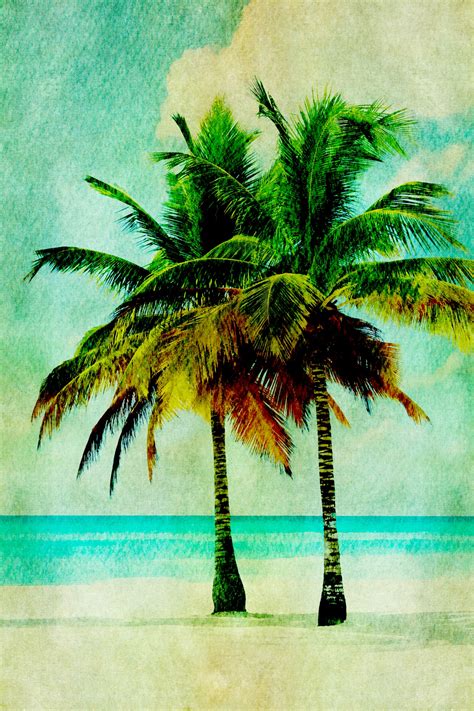 Palm Trees Tropical Beach Free Stock Photo Public Domain Pictures