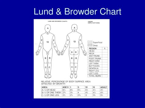 Lund Browder Burn Chart
