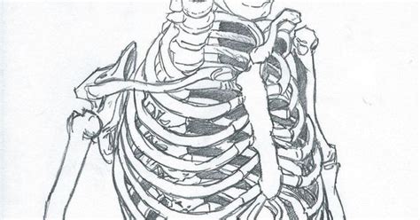 Skeleton Sketch 0020 By Carlmalbern Save My Mortal Soul Pinterest