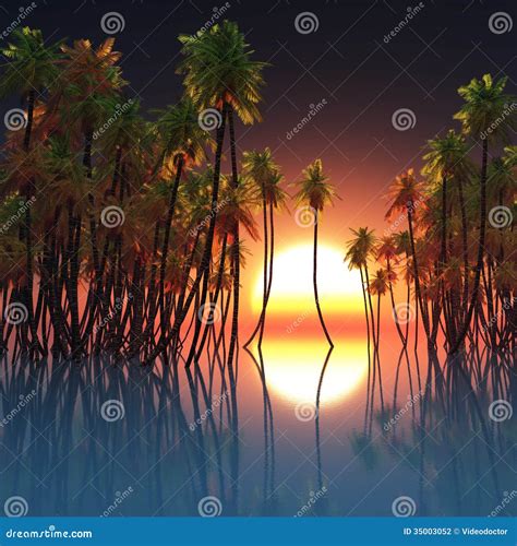 Palms In Ocean And Sunset Stock Photo Image Of Lagoon 35003052