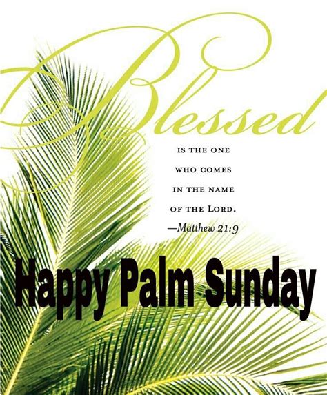 Pin By V Magdalene Dharikan On Icatholic Palm Sunday Quotes Happy