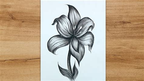 How To Draw A Lily Flower Step By Step Realistic Lily Flower Drawing