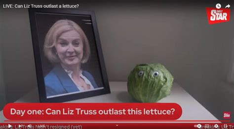 Our Lettuce Outlasted Liz Truss Daily Star Declares As Pm Quits In