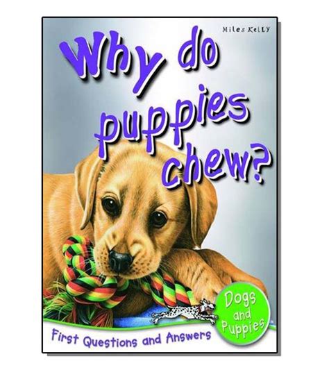 Why Do Puppies Chew Ina Publikatama Store